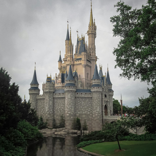 Disney Magic Kingdom